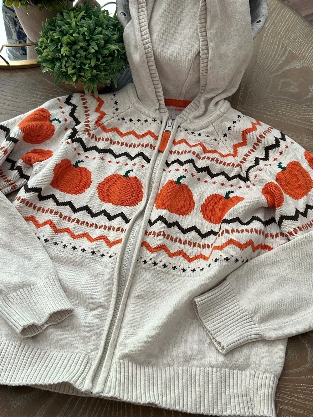 Gymboree Fall Harvest Pumpkin Cream Hooded Zip Cardigan Sweater